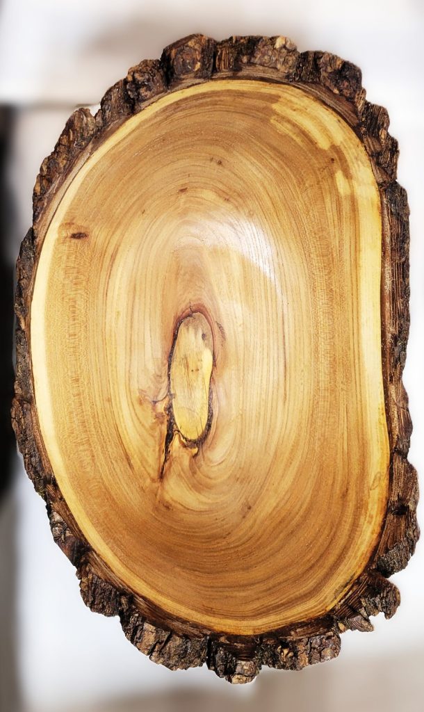Siberian Elm Bowl turned by Doug LaCount, Central Wisconsin Wood Turners